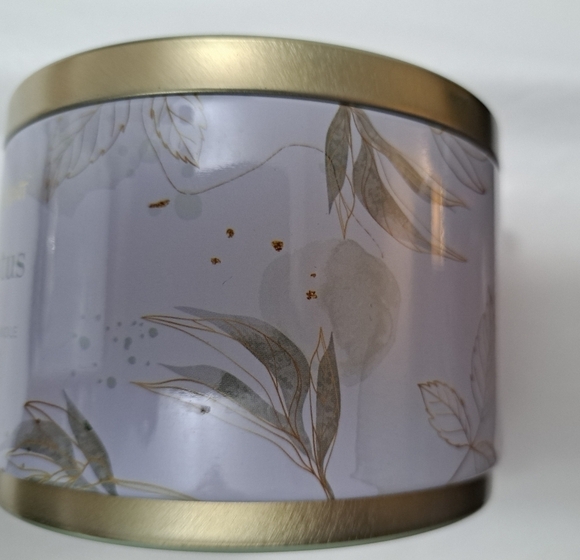 NEW Simply Indulgent Eucalyptus Soy Candle Size 14oz. - Picture 4 of 6